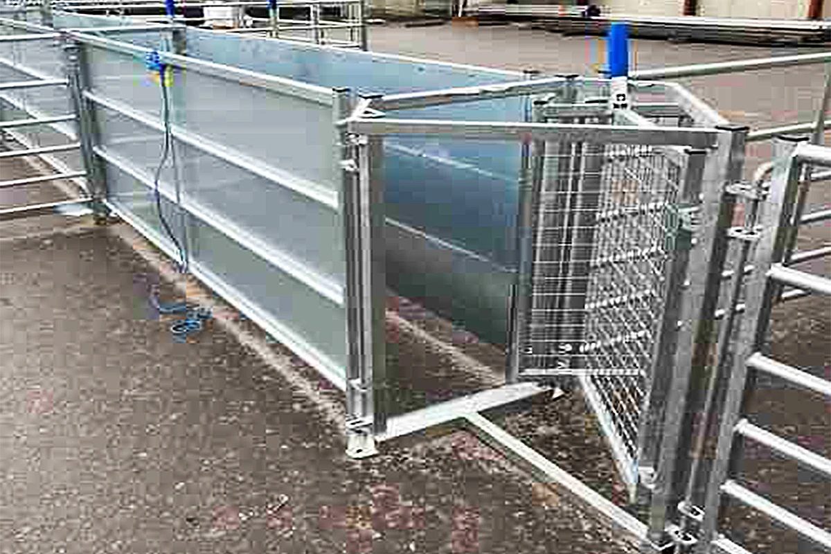 sheep drafting gate Free Sample
